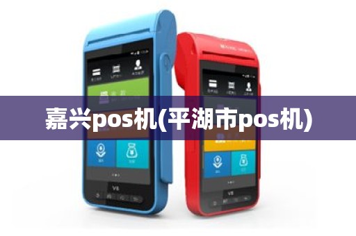 嘉兴pos机(平湖市pos机)