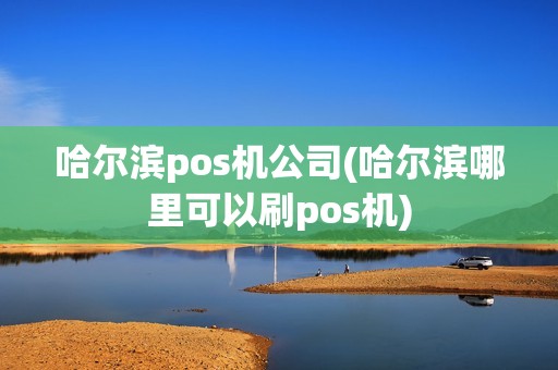 哈尔滨pos机公司(哈尔滨哪里可以刷pos机)