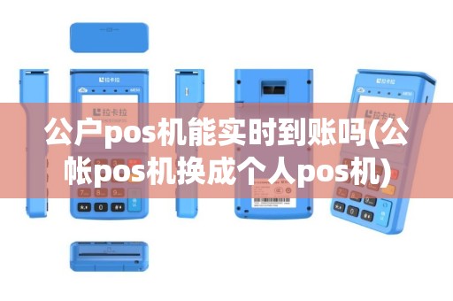 公户pos机能实时到账吗(公帐pos机换成个人pos机)