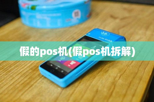 假的pos机(假pos机拆解)