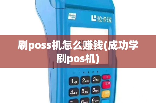 刷poss机怎么赚钱(成功学刷pos机)