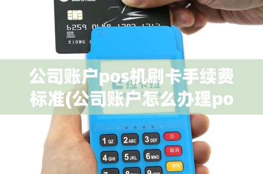 公司账户pos机刷卡手续费标准(公司账户怎么办理pos机)
