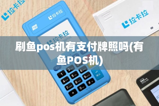 刷鱼pos机有支付牌照吗(有鱼POS机)
