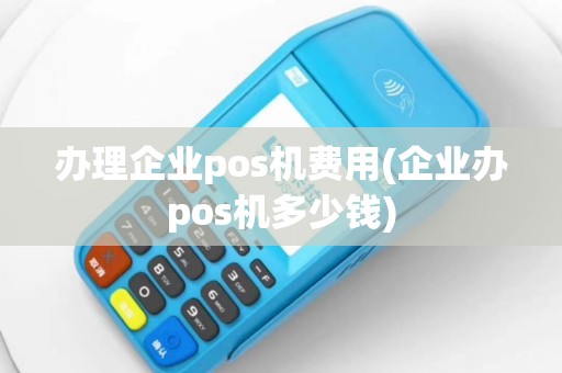 办理企业pos机费用(企业办pos机多少钱)