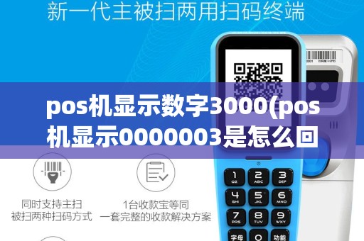pos机显示数字3000(pos机显示0000003是怎么回事)