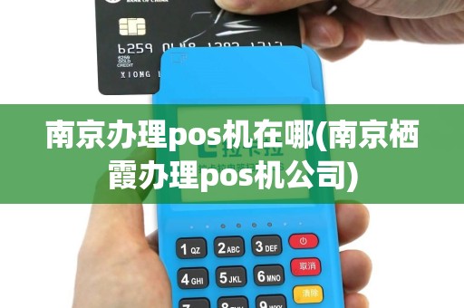 南京办理pos机在哪(南京栖霞办理pos机公司)