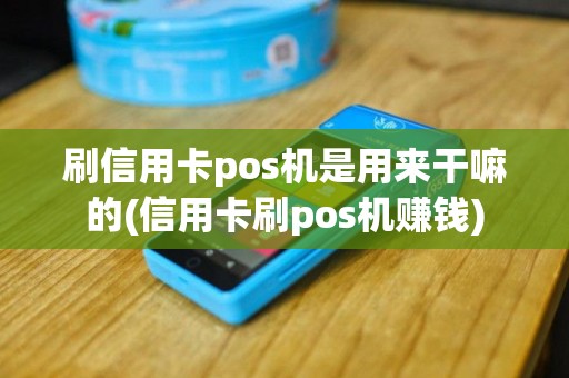 刷信用卡pos机是用来干嘛的(信用卡刷pos机赚钱)
