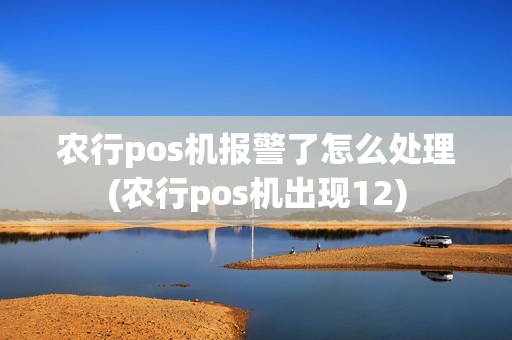 农行pos机报警了怎么处理(农行pos机出现12)