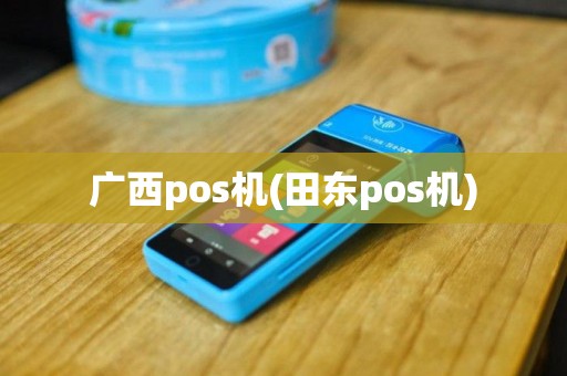 广西pos机(田东pos机)
