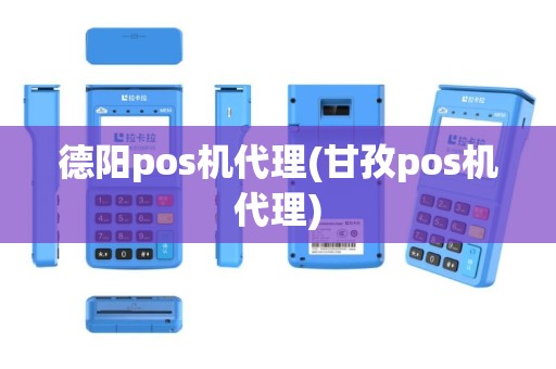 德阳pos机代理(甘孜pos机代理)