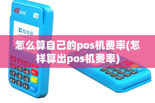 怎么算自己的pos机费率(怎样算出pos机费率)