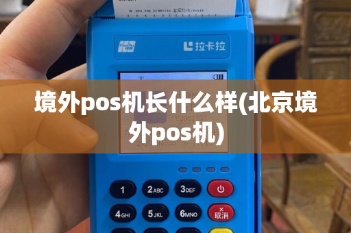 境外pos机长什么样(北京境外pos机)