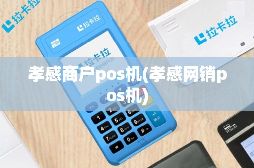孝感商户pos机(孝感网销pos机)