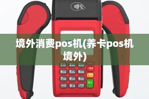 境外消费pos机(养卡pos机境外)