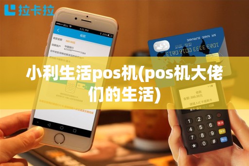 小利生活pos机(pos机大佬们的生活)