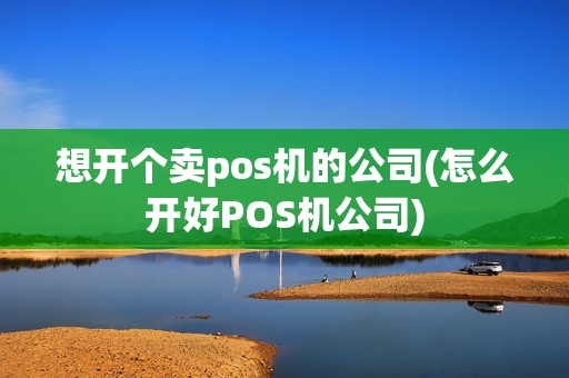 想开个卖pos机的公司(怎么开好POS机公司)