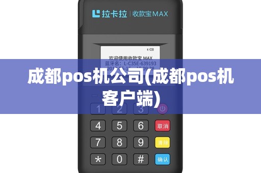 成都pos机公司(成都pos机客户端)