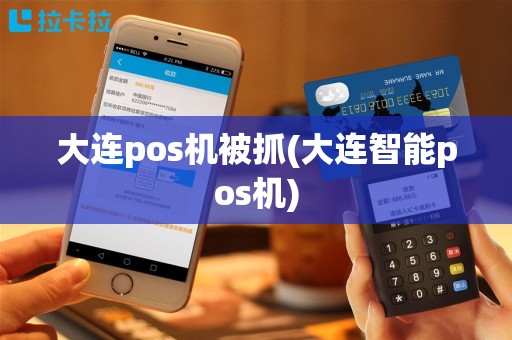大连pos机被抓(大连智能pos机)