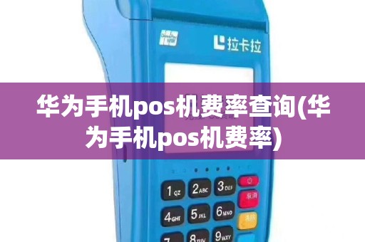 华为手机pos机费率查询(华为手机pos机费率)