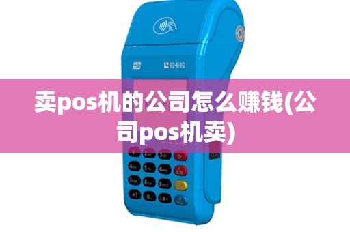 卖pos机的公司怎么赚钱(公司pos机卖)