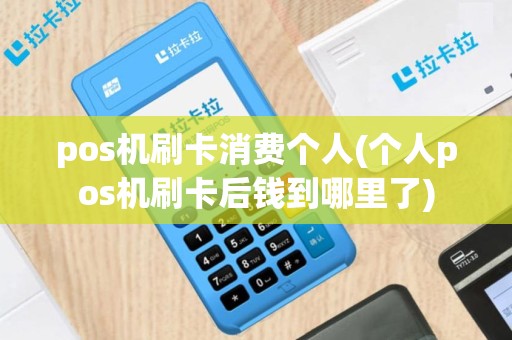 pos机刷卡消费个人(个人pos机刷卡后钱到哪里了)