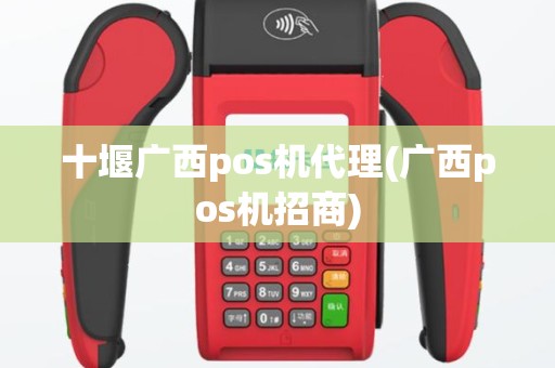 十堰广西pos机代理(广西pos机招商)