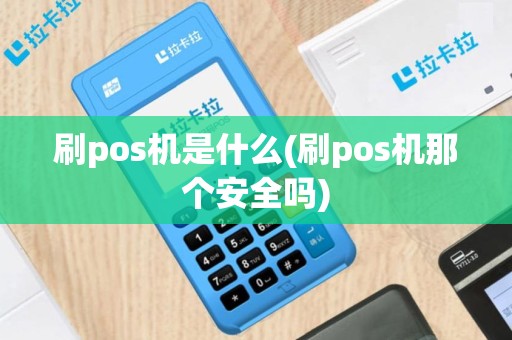 刷pos机是什么(刷pos机那个安全吗)