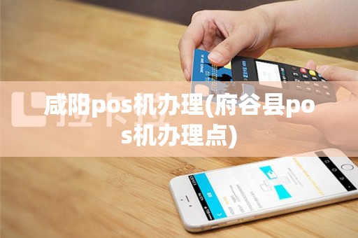 咸阳pos机办理(府谷县pos机办理点)