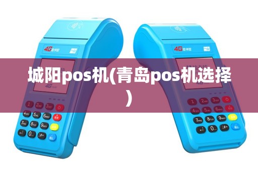 城阳pos机(青岛pos机选择)