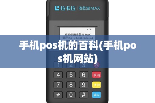 手机pos机的百科(手机pos机网站)