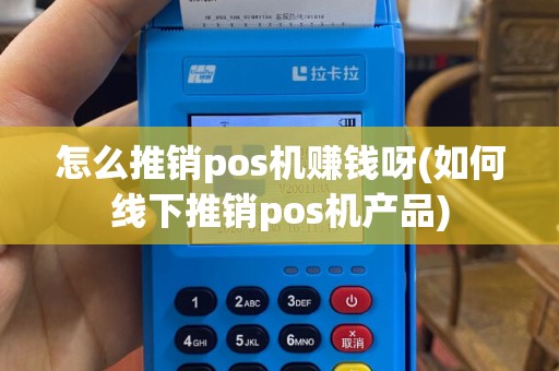 怎么推销pos机赚钱呀(如何线下推销pos机产品)