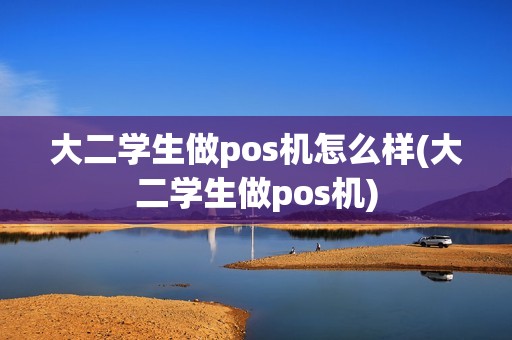 大二学生做pos机怎么样(大二学生做pos机)