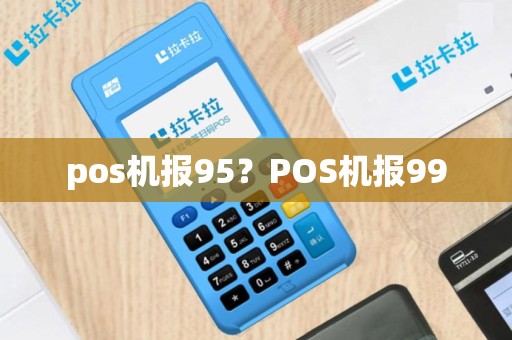 pos机报95？POS机报99