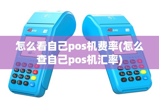 怎么看自己pos机费率(怎么查自己pos机汇率)