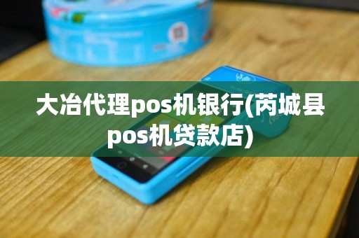 大冶代理pos机银行(芮城县pos机贷款店)