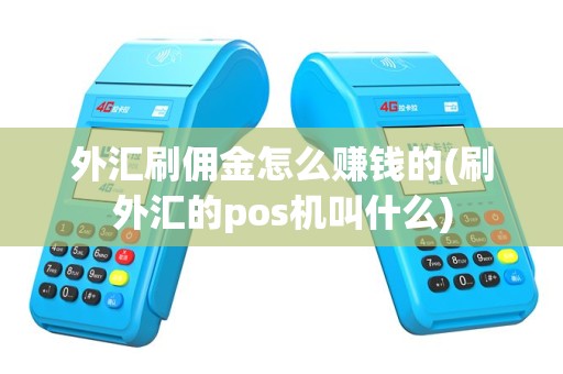 外汇刷佣金怎么赚钱的(刷外汇的pos机叫什么)