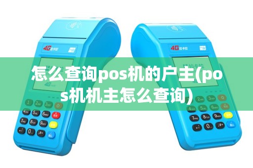 怎么查询pos机的户主(pos机机主怎么查询)