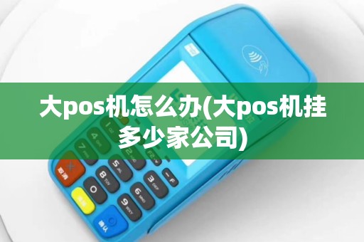 大pos机怎么办(大pos机挂多少家公司)