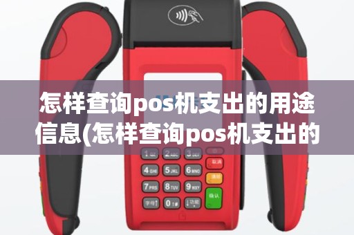 怎样查询pos机支出的用途信息(怎样查询pos机支出的用途)