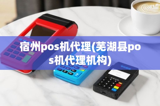 宿州pos机代理(芜湖县pos机代理机构)
