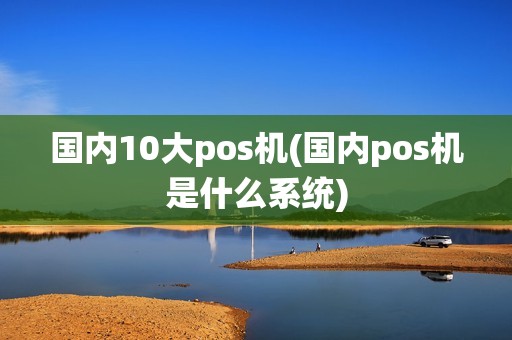 国内10大pos机(国内pos机是什么系统)