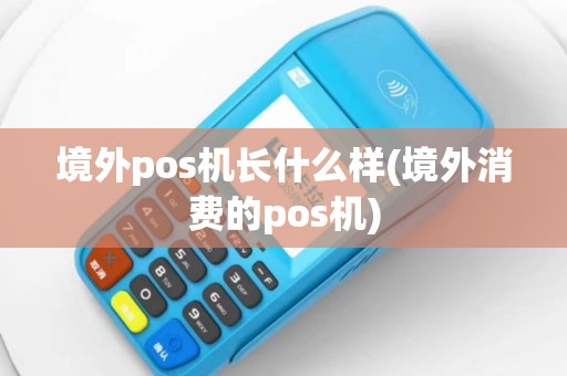 境外pos机长什么样(境外消费的pos机)