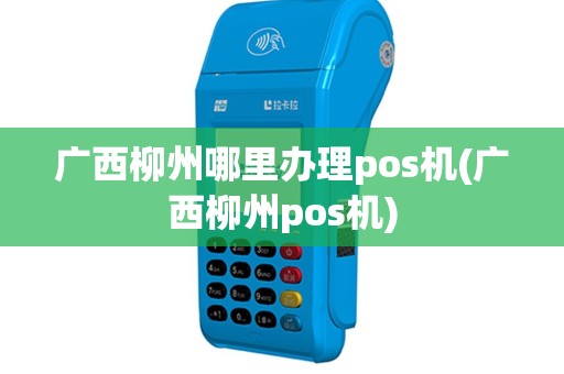 广西柳州哪里办理pos机(广西柳州pos机)