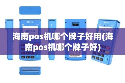 海南pos机哪个牌子好用(海南pos机哪个牌子好)