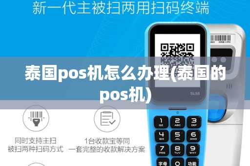 泰国pos机怎么办理(泰国的pos机)