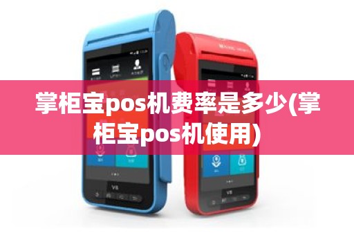 掌柜宝pos机费率是多少(掌柜宝pos机使用)