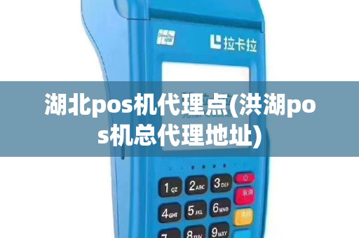 湖北pos机代理点(洪湖pos机总代理地址)