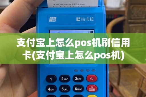 支付宝上怎么pos机刷信用卡(支付宝上怎么pos机)