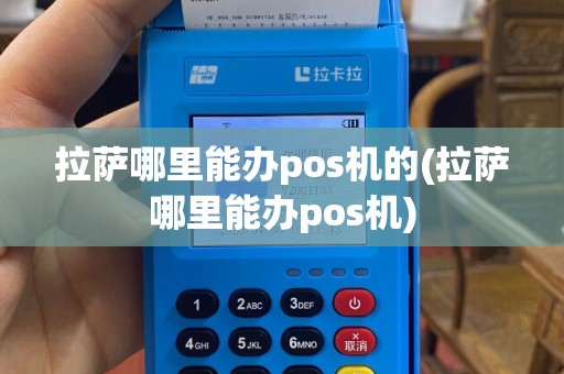 拉萨哪里能办pos机的(拉萨哪里能办pos机)