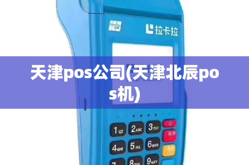 天津pos公司(天津北辰pos机)